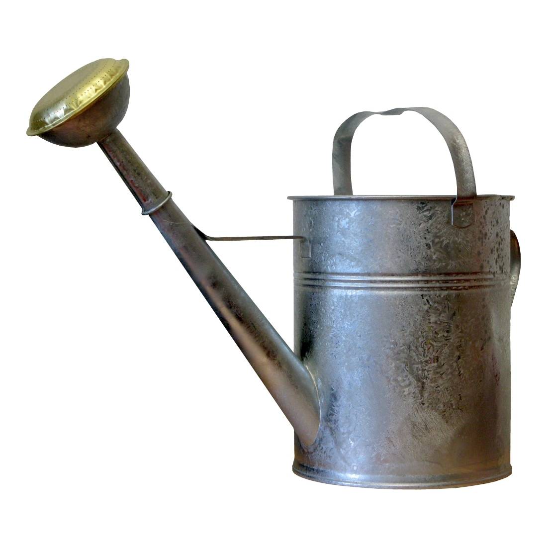 Giesskanne Metall 9 Liter, mit Brausespritzkopf